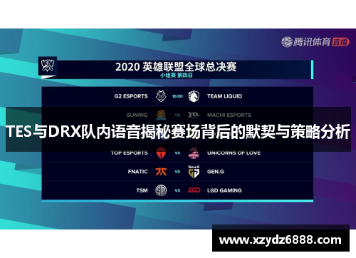TES与DRX队内语音揭秘赛场背后的默契与策略分析