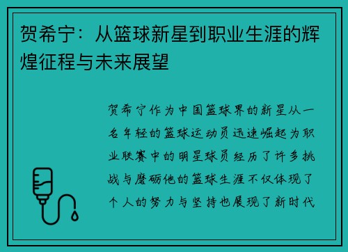 贺希宁：从篮球新星到职业生涯的辉煌征程与未来展望